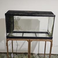 Acquario per i pesci
