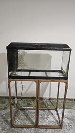 Acquario per i pesci