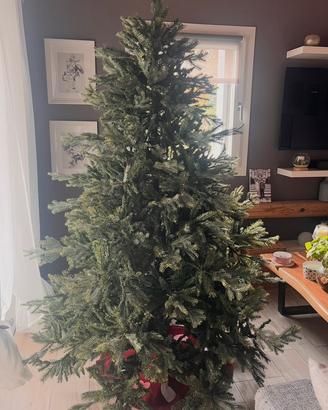 Albero di natale