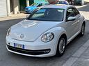 volkswagen-maggiolino-1-6-tdi-design