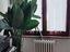 Immagine 19
