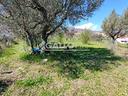 terreno-edificabile-marano-principato-ag3-3968