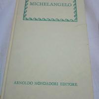 Libro Michelangelo 