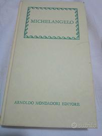 Libro Michelangelo 
