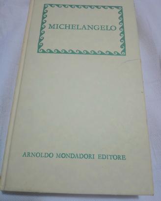 Libro Michelangelo 