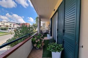 5 LOCALI A CASTELLALTO