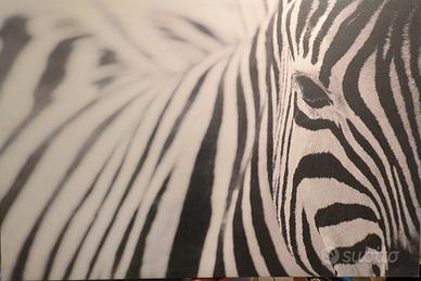 Stampa su tela Zebra