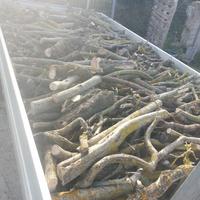 legna olivo fine, media, grossa