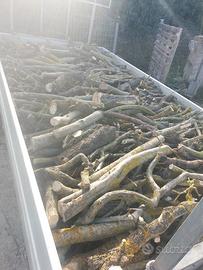 legna olivo fine, media, grossa