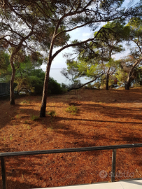 Terreno pineta S. Margherita di Pula