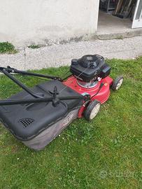 TAGLIAERBE A MOTORE USATO