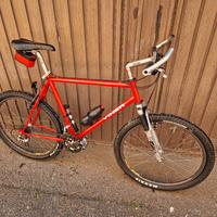 mtb viner vintage cerchi mavic