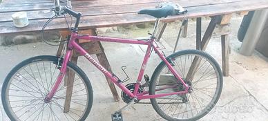 mtb bianchi