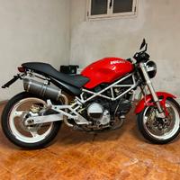 Ducati monster