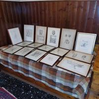 N. 1 Stampa di 16 disegni penna e inchiostro