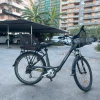 Bici elettrica