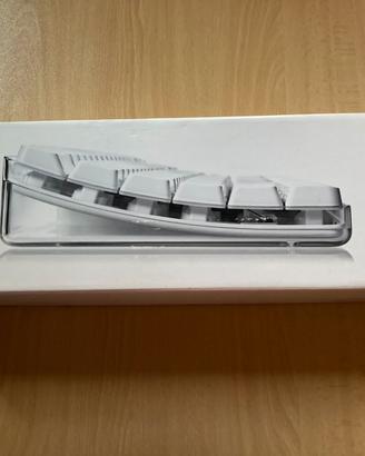 Tastiera Vintage Apple Pro Keyboard A1048 + Prolun