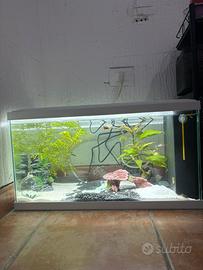 Acquario 58 litri