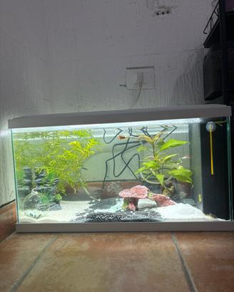 Acquario 58 litri