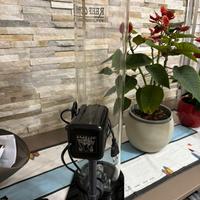 Reattore di kalkwasser Octopus