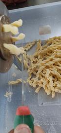 Macchina pasta fresca
