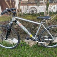 Bici mountainbike CARRARO