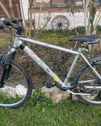 Bici mountainbike CARRARO
