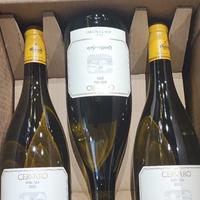 Lotto vino 6x Cervaro della Sala 2023 Antinori