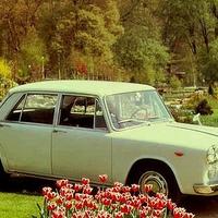 Ricambi per Lancia Flavia berlina (1960-1971)