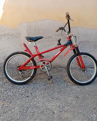 bici ragazzo 