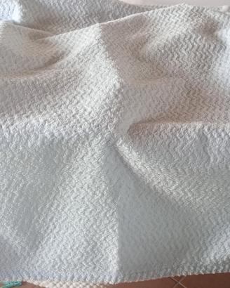 Copertina ciniglia