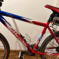 Bottecchia fx 5.30