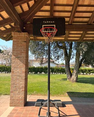 Canestro