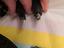 Immagine 4