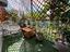 Immagine 16