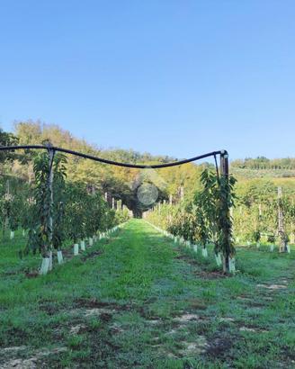 TER. AGRICOLO A CESENA