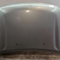 COFANO ANTERIORE DR 5 1° Serie 741010018 SQR481F