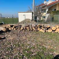 Legna da ardere pioppo