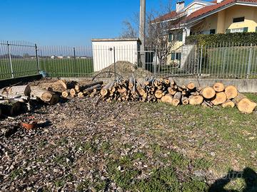 Legna da ardere pioppo