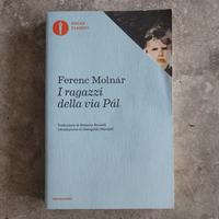 Libro "I ragazzi della via Pál"