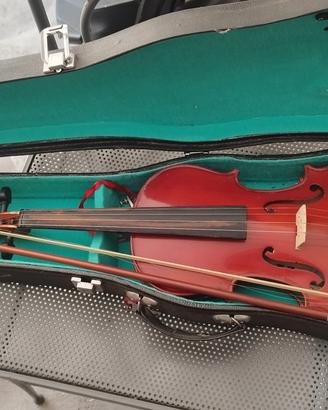 violino 
