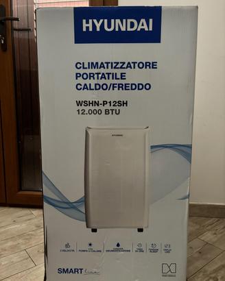 Condizionatore portatile caldo e freddo