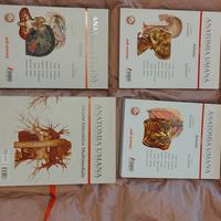 Anatomia Umana Digitale Atlante – Volumi 1-3
EE