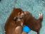 Immagine 3