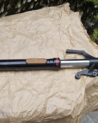 Triumph Trident 660 - T2042543