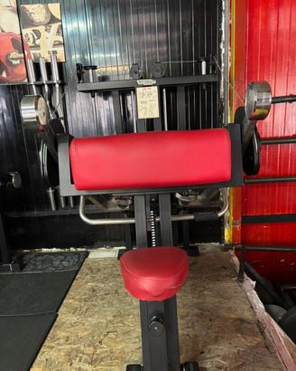 Arm Curl Technogym
