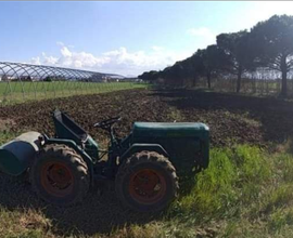 Terreno agricolo 9000mq