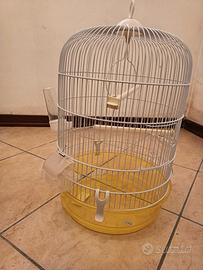 Gabbia uccellini
