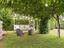Immagine 29