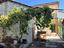 Immagine 11